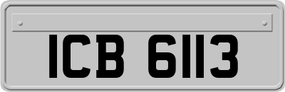 ICB6113