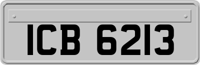 ICB6213