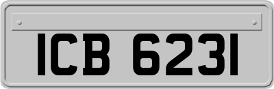 ICB6231