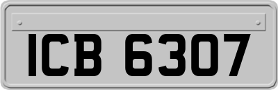 ICB6307