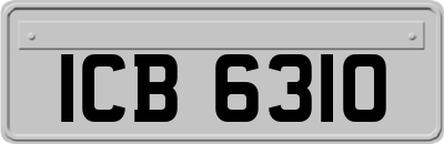 ICB6310