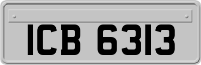 ICB6313