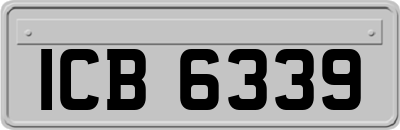 ICB6339