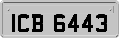ICB6443