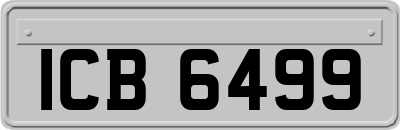 ICB6499