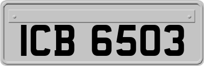 ICB6503