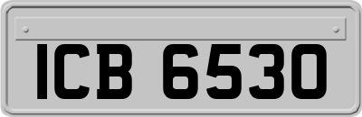 ICB6530