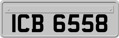 ICB6558