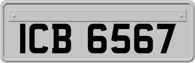 ICB6567