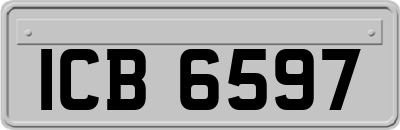 ICB6597