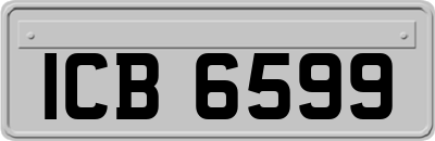 ICB6599