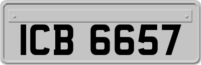 ICB6657