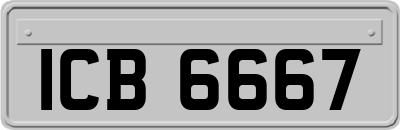 ICB6667