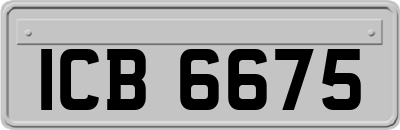 ICB6675