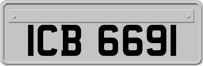 ICB6691