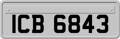 ICB6843