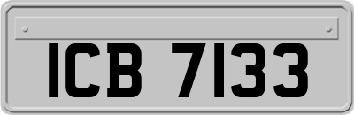 ICB7133