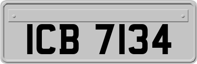 ICB7134