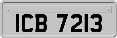 ICB7213