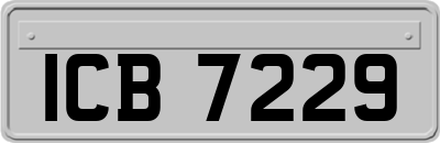 ICB7229