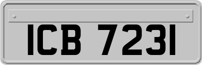 ICB7231
