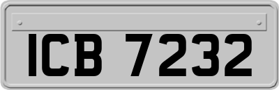 ICB7232