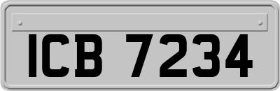 ICB7234