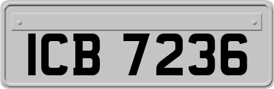 ICB7236