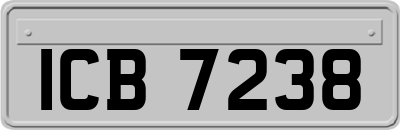 ICB7238