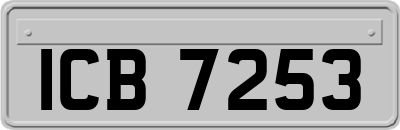 ICB7253