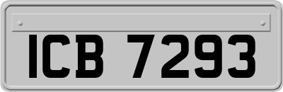 ICB7293