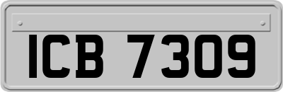 ICB7309