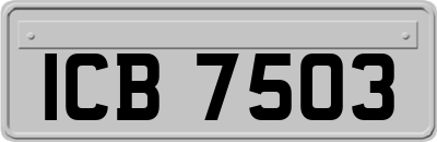 ICB7503