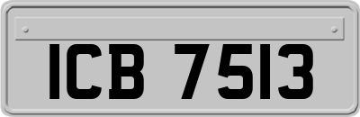 ICB7513