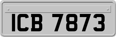 ICB7873