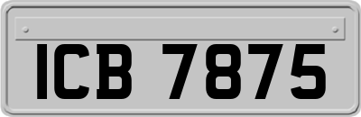 ICB7875