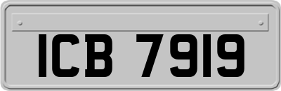 ICB7919