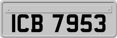 ICB7953