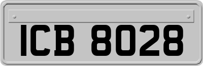 ICB8028