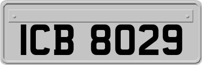 ICB8029