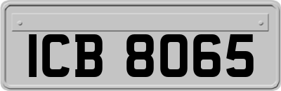 ICB8065
