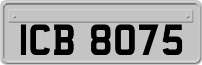 ICB8075