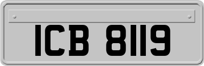 ICB8119