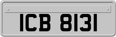 ICB8131