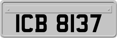 ICB8137