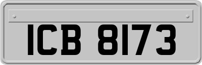 ICB8173