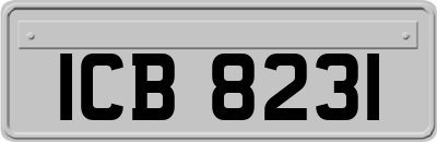 ICB8231