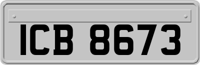 ICB8673