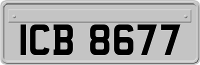 ICB8677