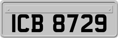 ICB8729
